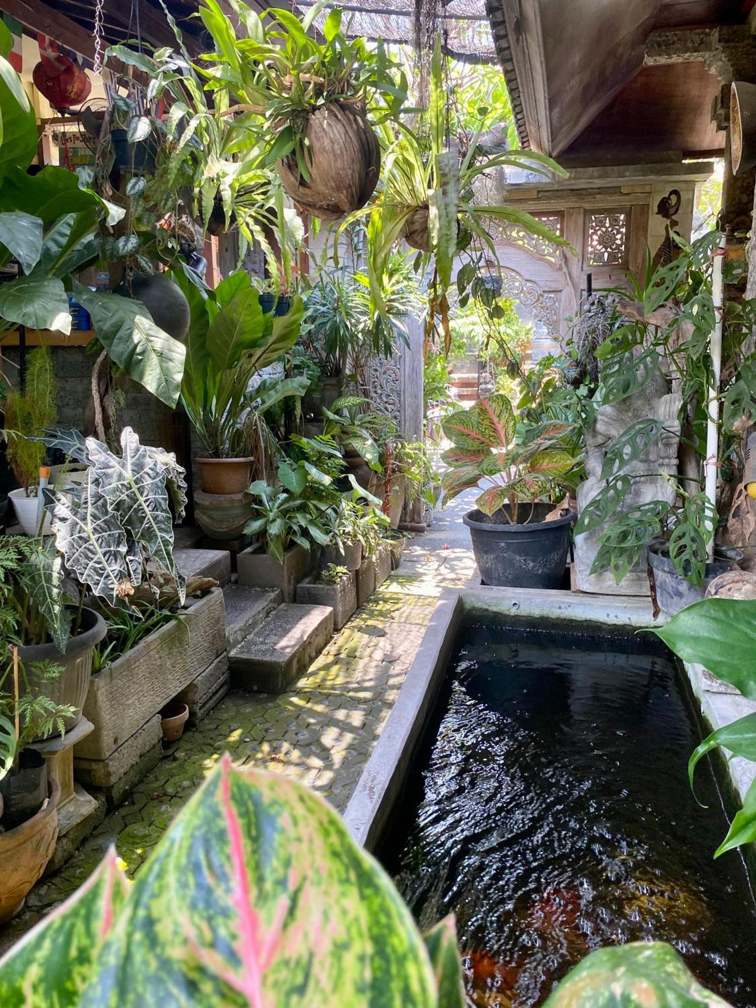 Frog Homestay Sanur Esterno foto
